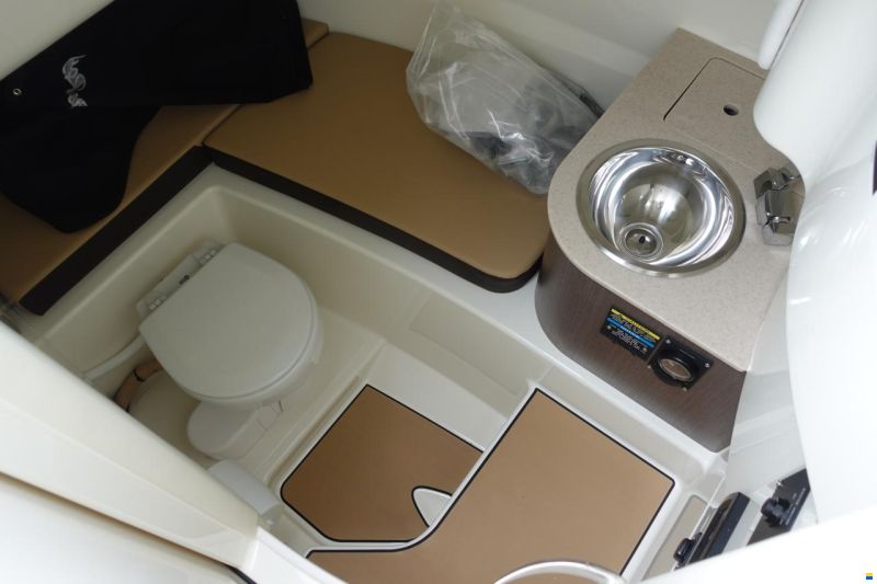 Sea Ray SDX250E & Trailer