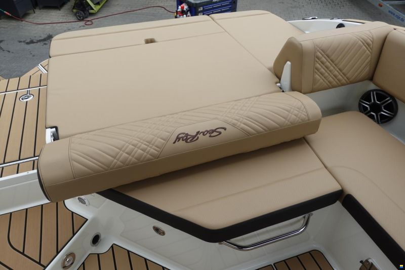 Sea Ray SDX250E & Trailer