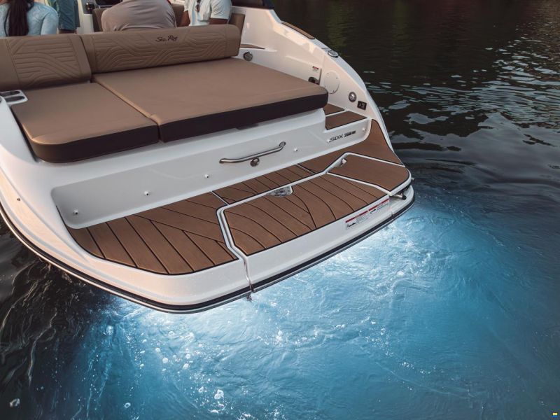 Sea Ray SDX250E SURF & Trailer