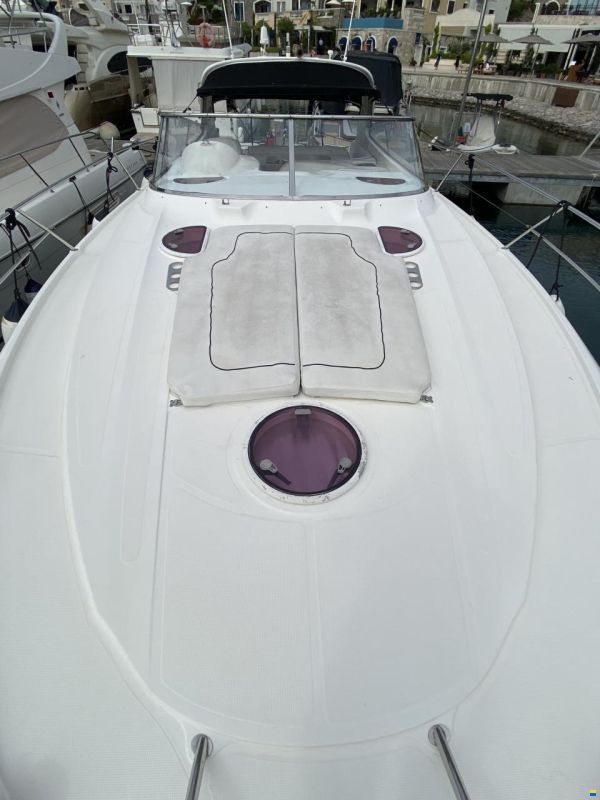 Bavaria Sport 37