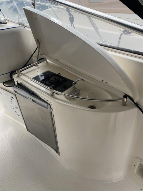 Bavaria Sport 37