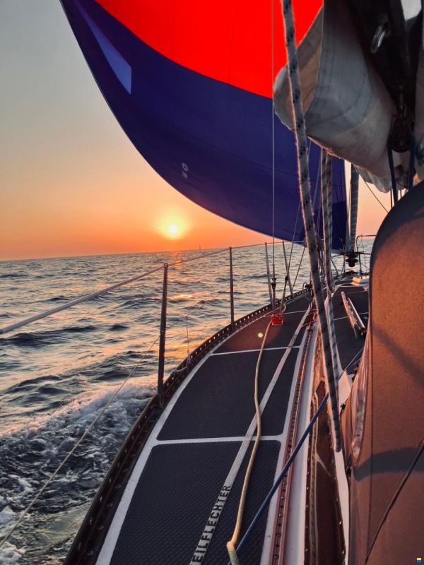 Helmsman Barracuda 35