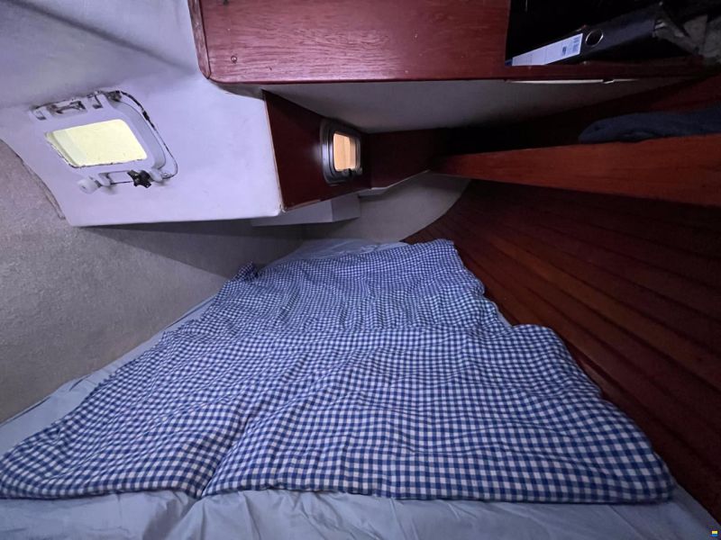 Helmsman Barracuda 35