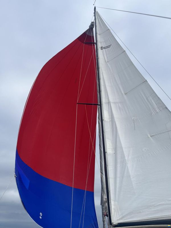 Helmsman Barracuda 35