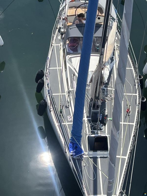 Helmsman Barracuda 35