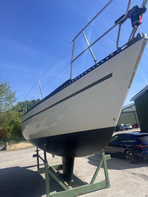 Helmsman Barracuda 35