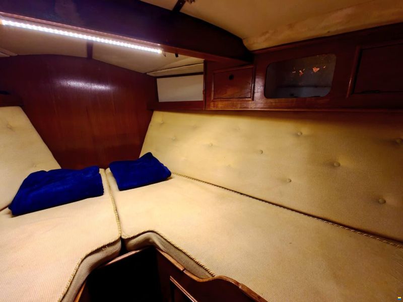 Colvic Victor 41