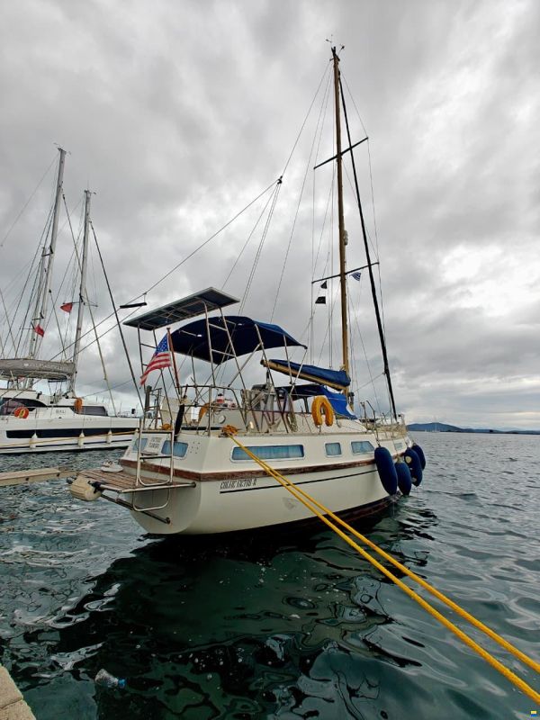Colvic Victor 41