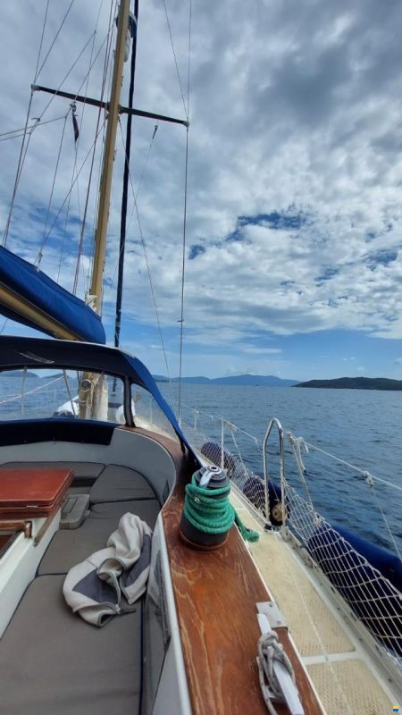 Colvic Victor 41