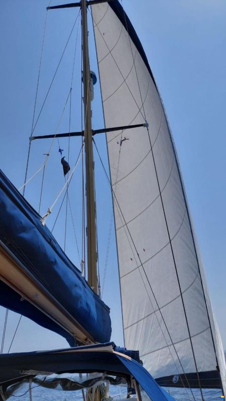 Colvic Victor 41