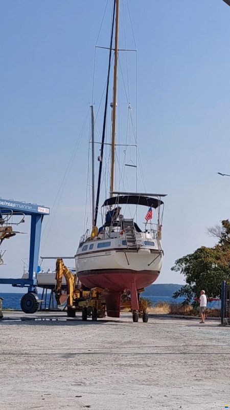 Colvic Victor 41