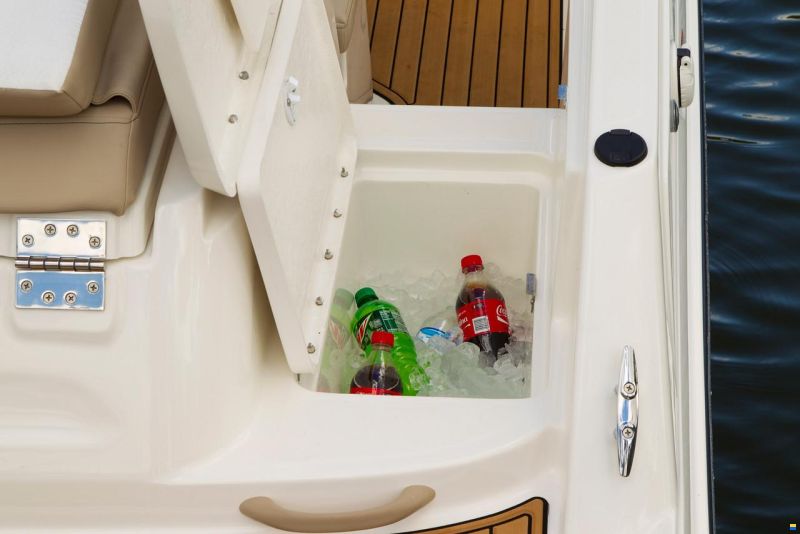 Bayliner VR6 Wakeboard