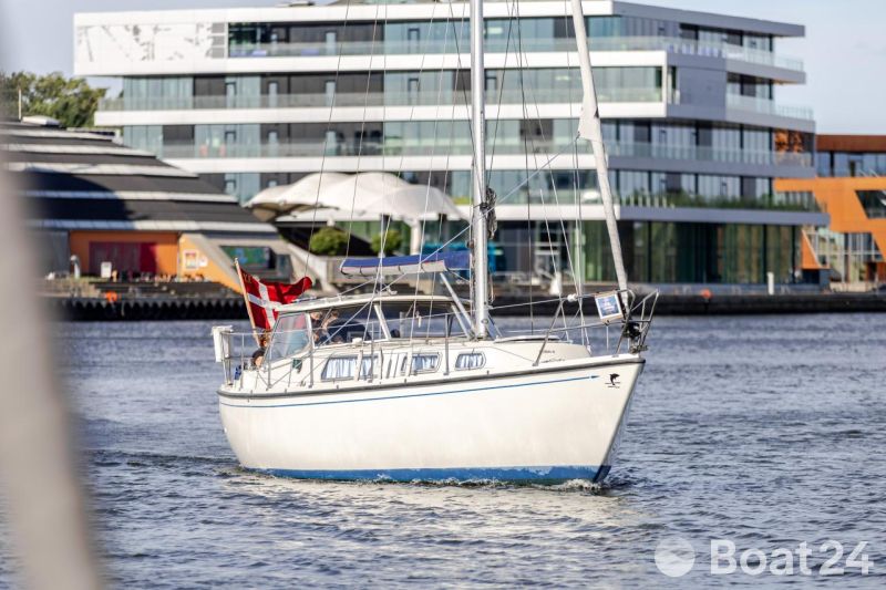Venus  31