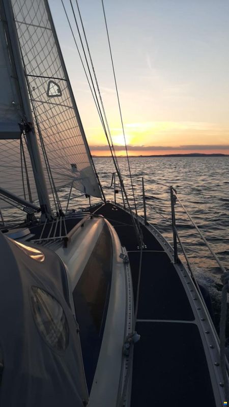 Bjørn Olsen OLSEN 31