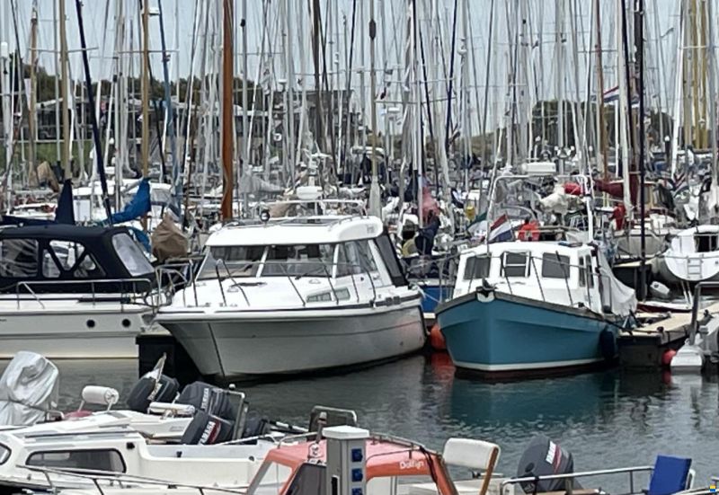 Saga 315