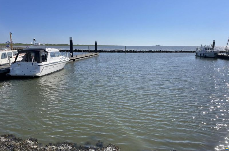 Saga 315