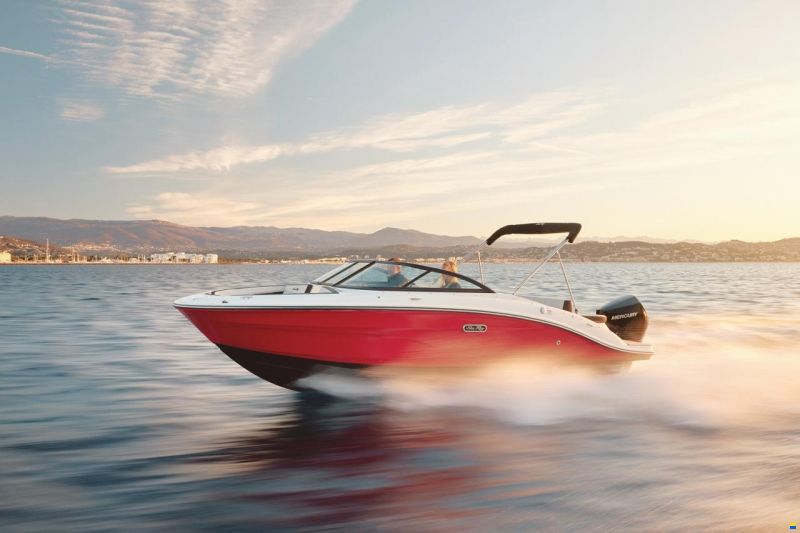 Sea Ray SPX 210 OB Euroe
