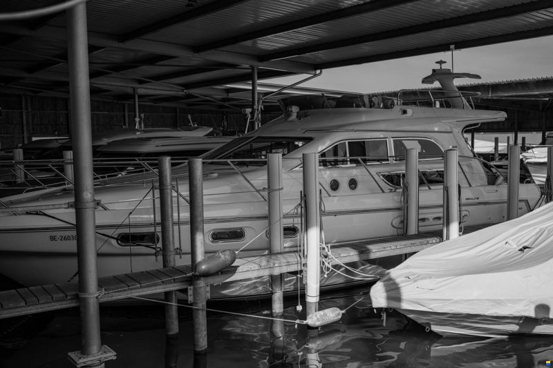 Sealine F44