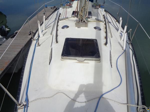 PUMA 34
