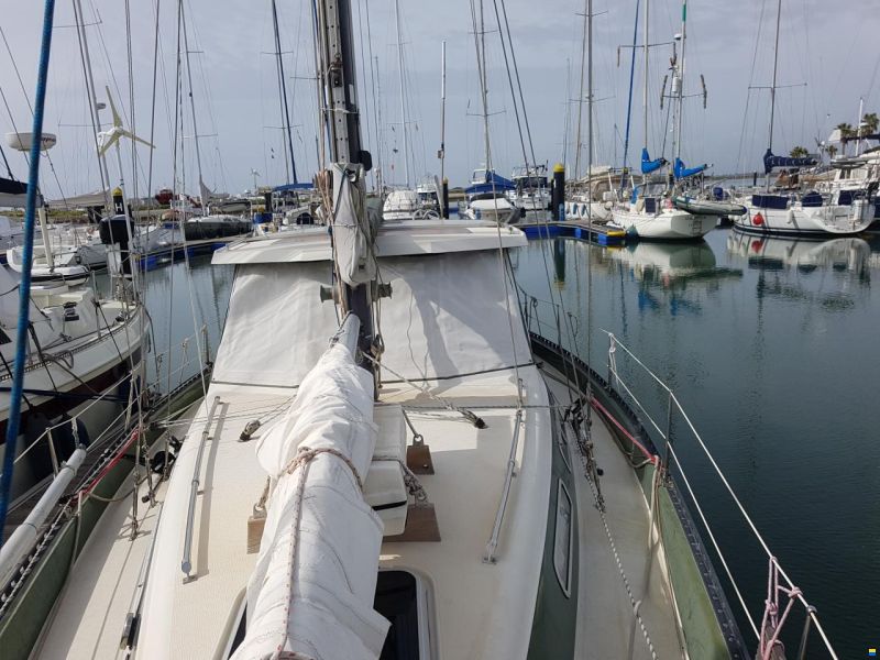 Coronet Elvstrom 38