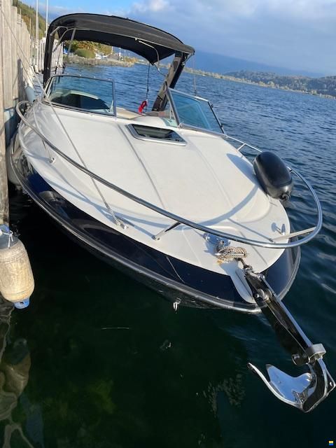 VIPER V243