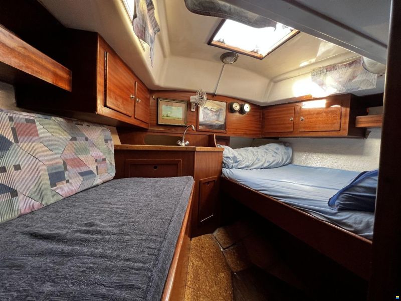 Conyplex Contest 36