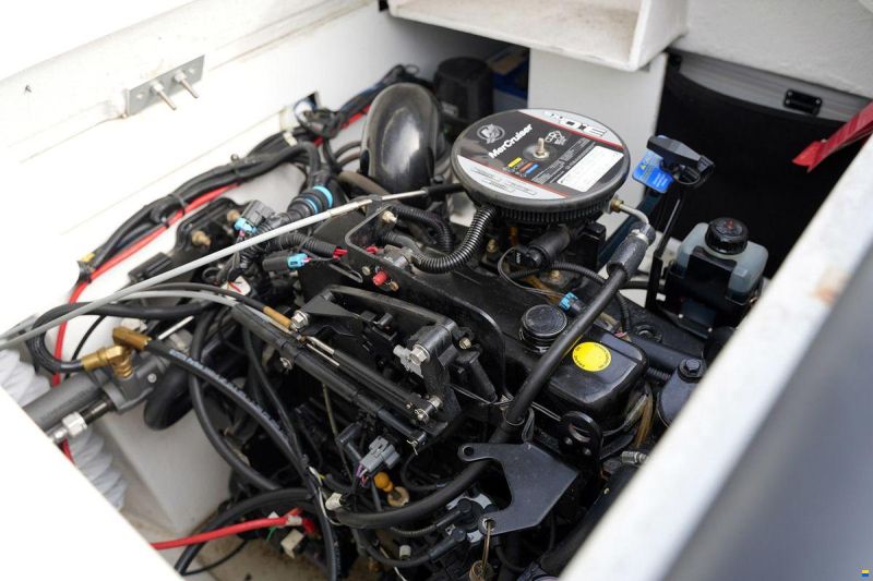 Sea Ray 19 SPX