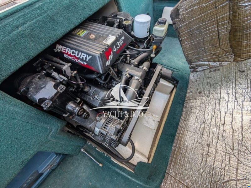 Sea Ray 190