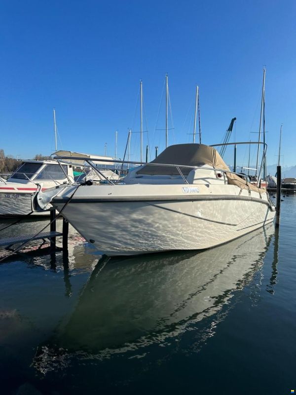 Cranchi Panama 24