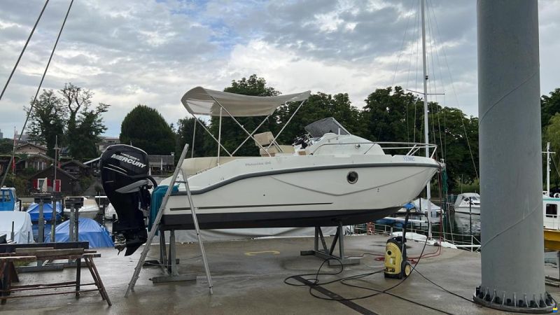 Cranchi Panama 24