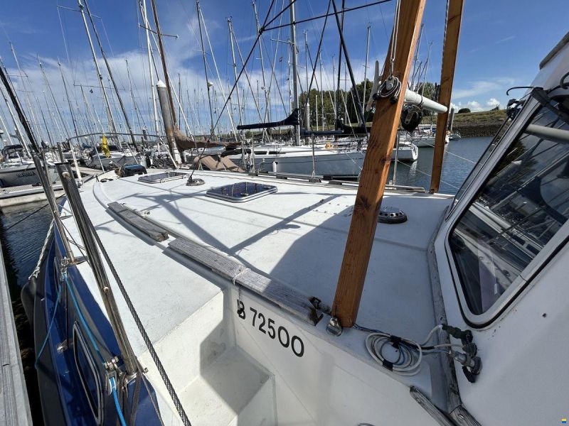 Rogger FD2