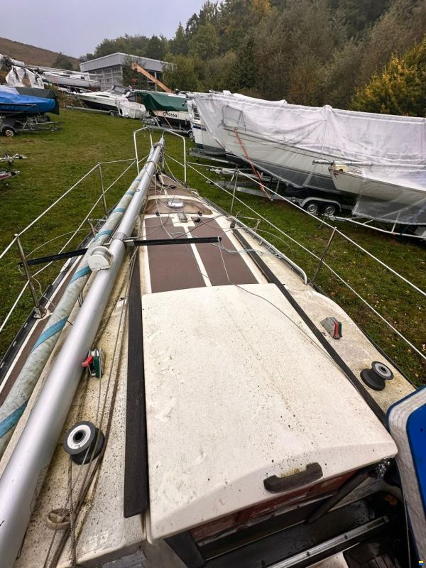 Neptun 23