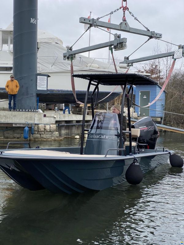 Swiss Cat 21