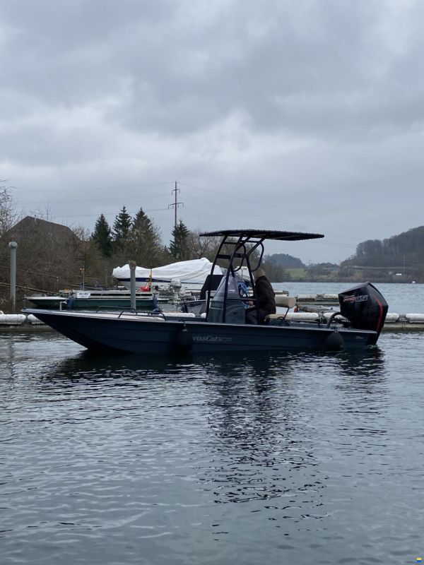 Swiss Cat 21