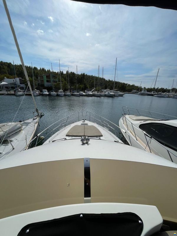 Princess 50