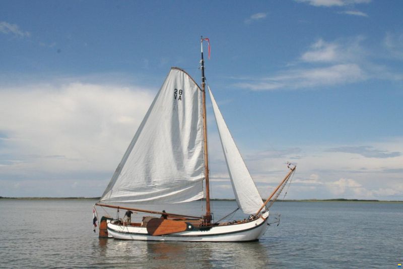 Lemsteraak Halley - Roefuitvoering