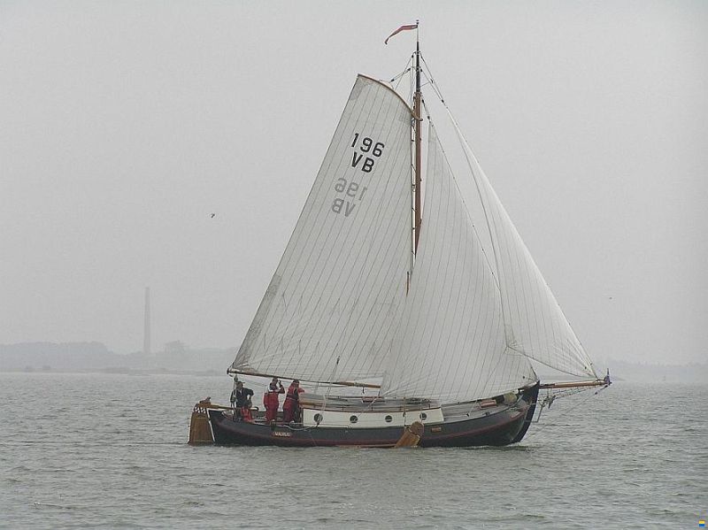 Lemsteraak Walrus - Roefuitvoering