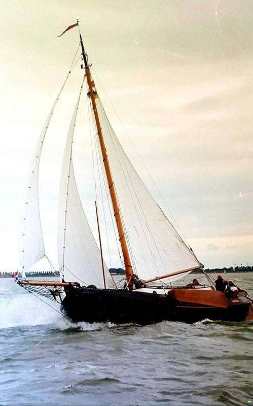 Lemsteraak Walrus - Roefuitvoering