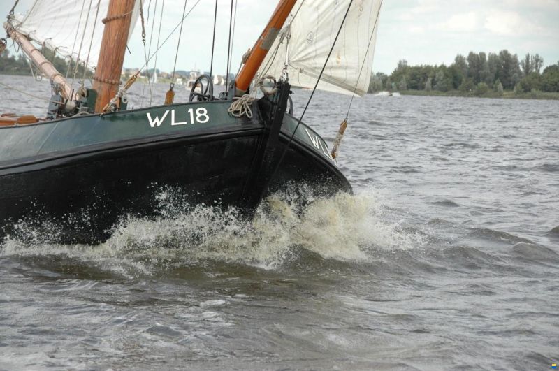 Lemsteraak WL 18 Fasant - Roefuitvoering Jachtuitvo