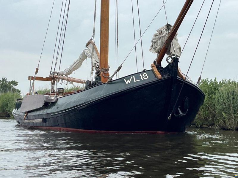 Lemsteraak WL 18 Fasant - Roefuitvoering Jachtuitvo
