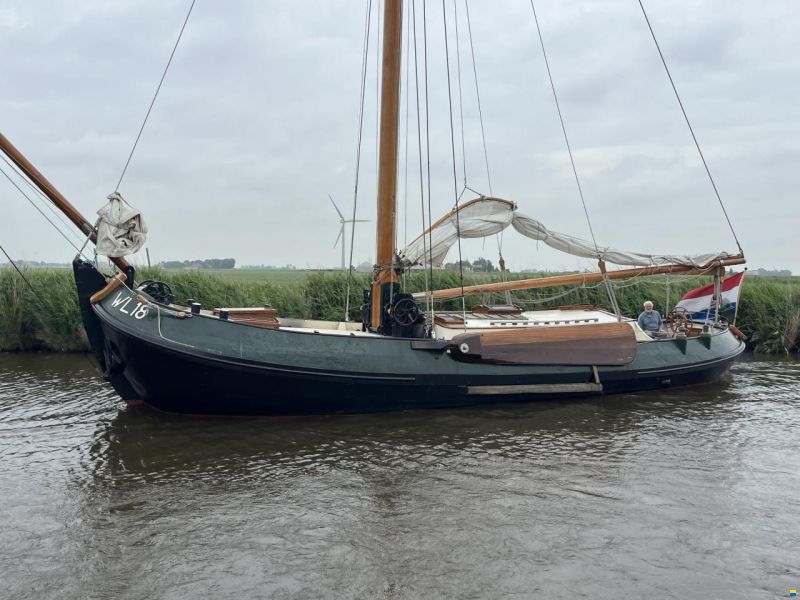 Lemsteraak WL 18 Fasant - Roefuitvoering Jachtuitvo