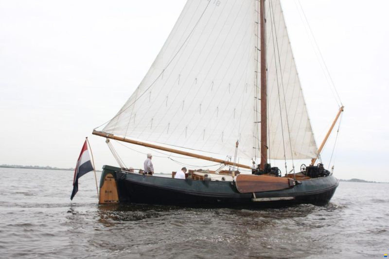 Lemsteraak WL 18 Fasant - Roefuitvoering Jachtuitvo