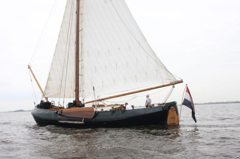Lemsteraak WL 18 Fasant - Roefuitvoering Jachtuitvo