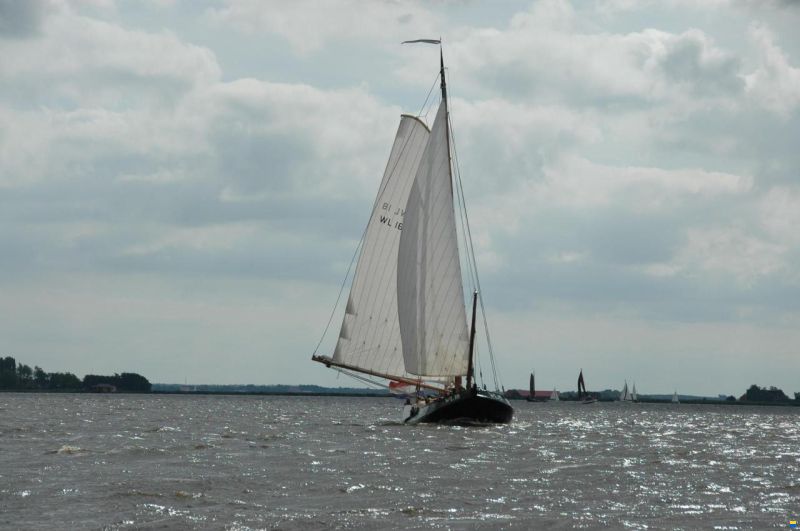 Lemsteraak WL 18 Fasant - Roefuitvoering Jachtuitvo