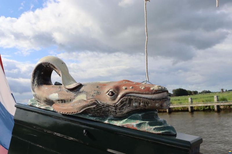 Lemsteraak Bonte Walvis - Roefuitvoering Stofberg 1