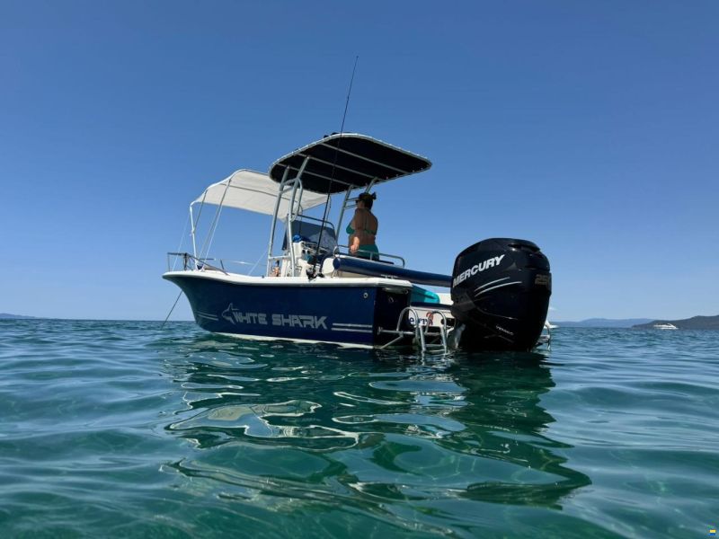White Shark 215