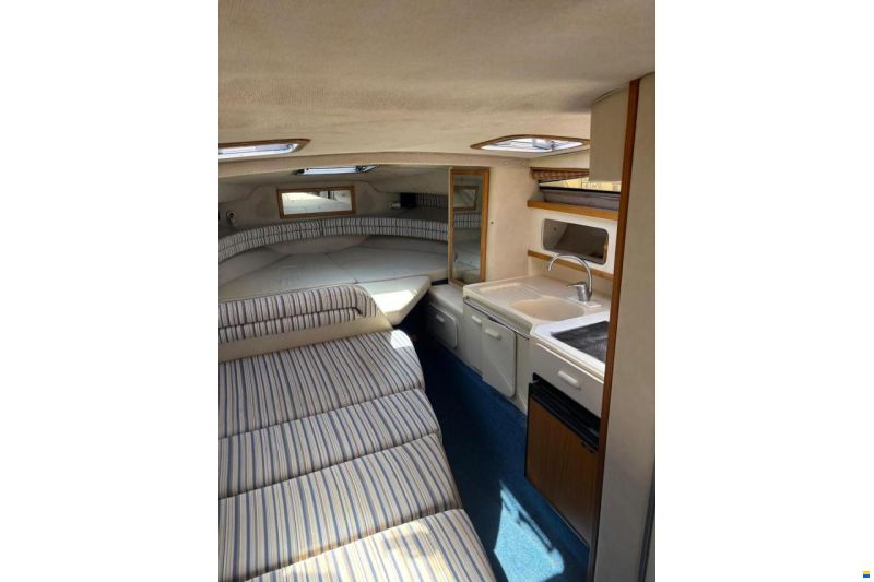 Sea Ray 290 Sundancer