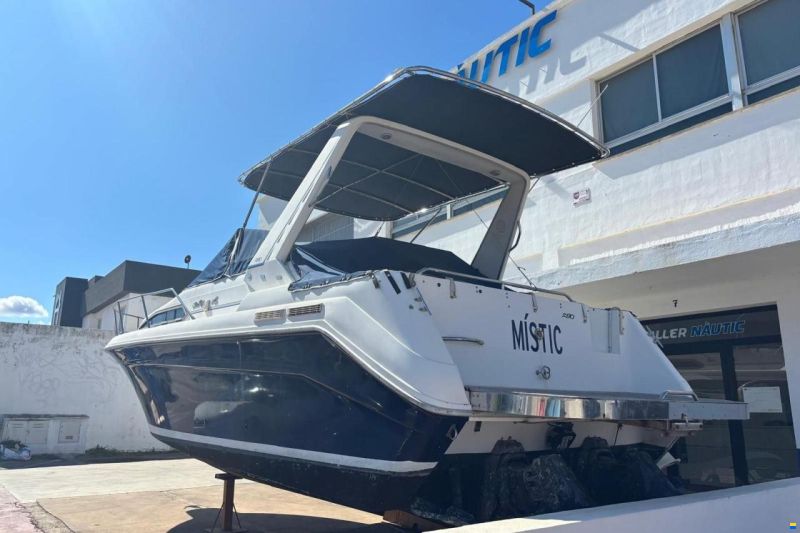 Sea Ray 290 Sundancer
