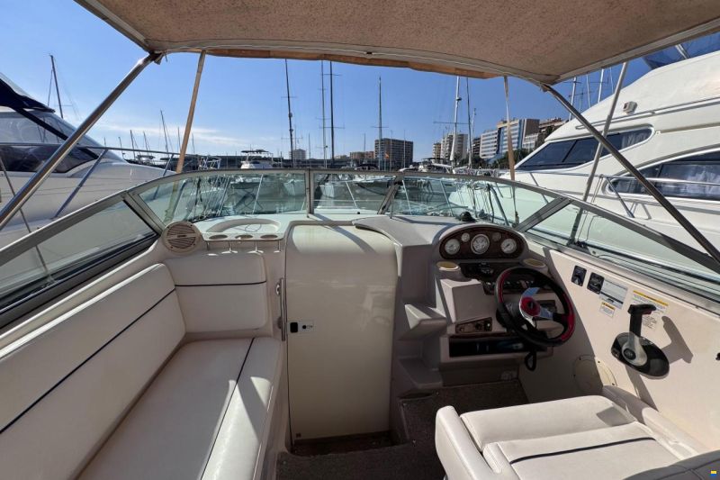 Rinker Fiesta Vee 250