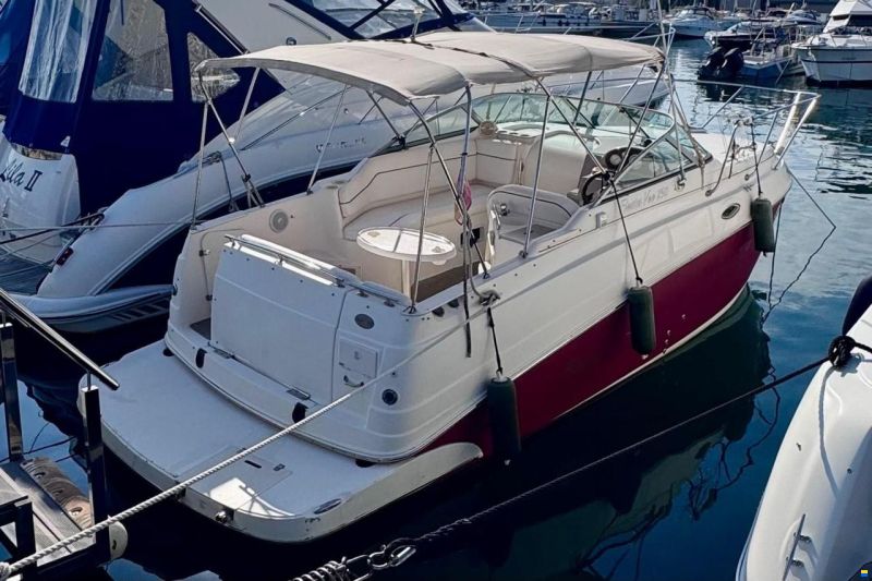 Rinker Fiesta Vee 250